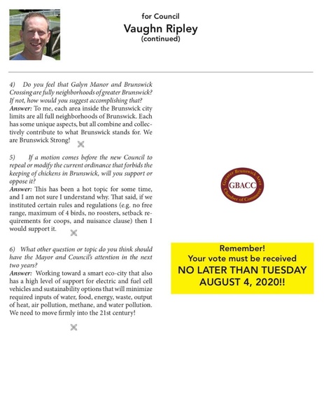 File:Election 2020 City Council Vaughn Ripley.pdf