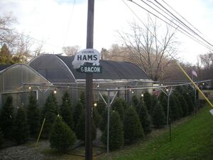 Lowry's Farm Market in the Christmas season 2011.jpg