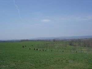 Road between Jefferson and Broad Run - April 2011.jpg