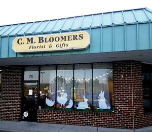 Pandemic 2020 Non Essential Business had to close (1).jpg