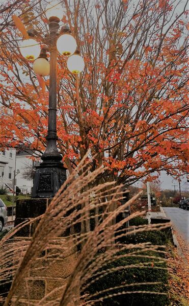 File:Veterans Park on A Street, November 12, 2020 (4).jpg