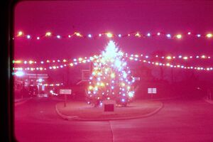 Town Christmas Tree Maryland Ave 1956.jpg
