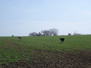 Enfield homestead on the farm on Rt. 180.jpg