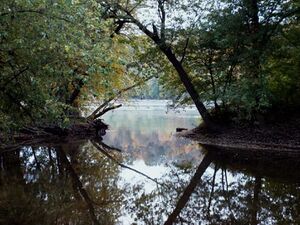 Potomac River October 2015. Photo by Jerry Knight.jpg