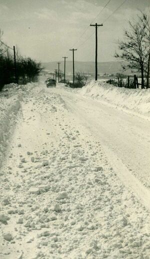 Snow on Rosemont Drive Circa 1950s.jpg