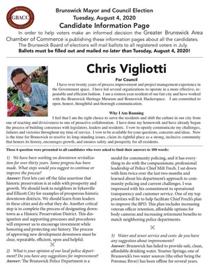 Election 2020 City Council Chris Vigliotti.pdf