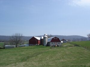 Lakin Farm on Lander Rd - April 2011.jpg