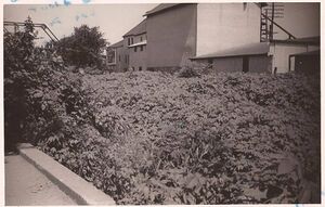 Canal - back of the old mill.jpg