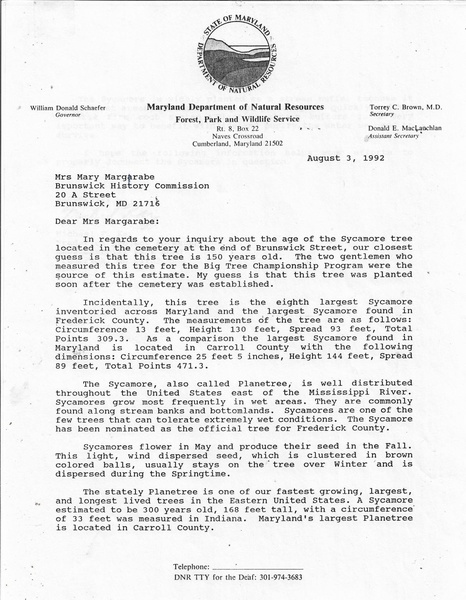 File:Sycamore Tree in Berlin Cemetery Information August 3, 1992.pdf