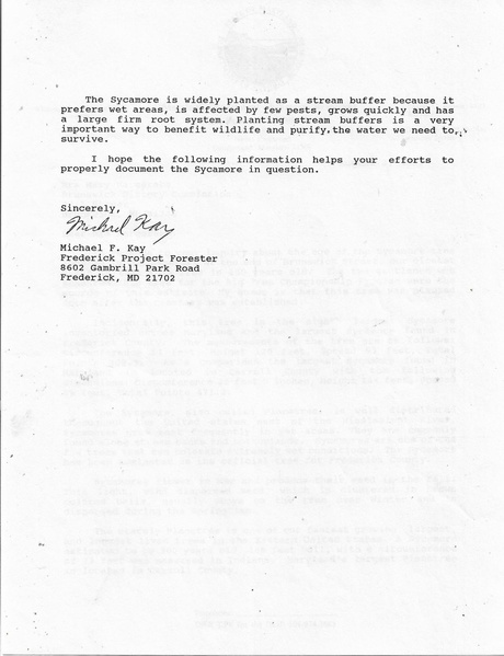 File:Sycamore Tree in Berlin Cemetery Information August 3, 1992.pdf