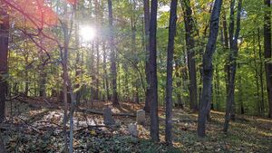 Knoxville African American Cemetery.jpg