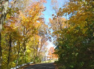 D Street heading east towards the old sewing factory.jpg
