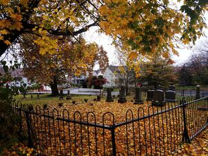 Berlin Cemetery in Autumn, November 3, 2018.jpg