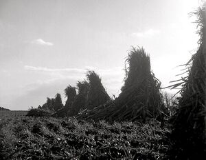 Fall sight around Frederick County.jpg