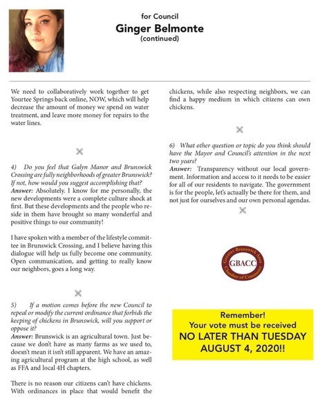 File:Election 2020 City Council Ginger Belmonto.pdf