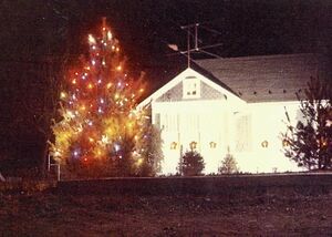 Wenner's Hill Christmas Tree (2).jpg