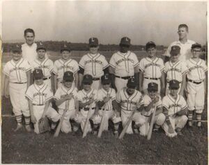 Little League Lions 1968.jpg