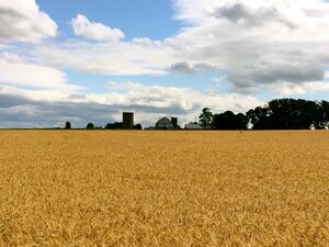 Farm at the entrance to Bishop Claggett Center.jpg