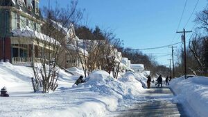 Blizzard of 2016 - Ten Row is plowed out.jpg