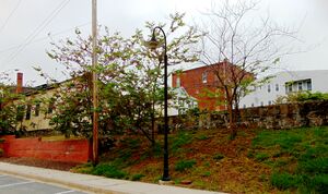 Karns Lumber Yard, May 19, 2019 (4).JPG