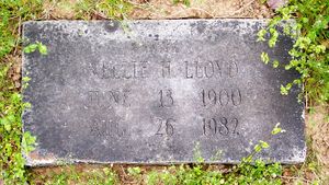 Nellie Hoar lloyd, Distinguished Citizen 1988 (8).jpg