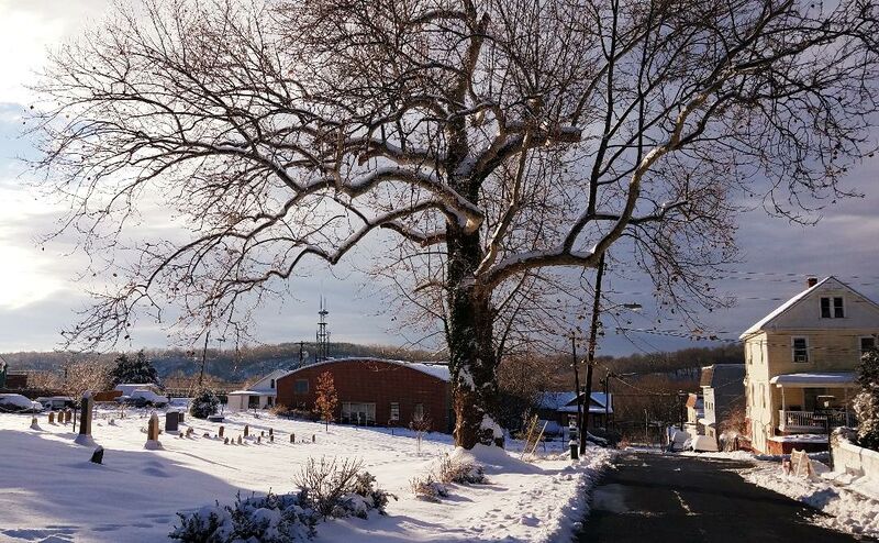 File:Berlin Cemetery in the Snow, December 17, 2020 (3).jpg