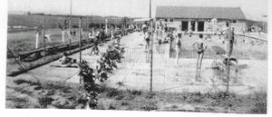 Brunswick Pool on a Summer Day.jpg