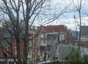 Brunswick in the holiday season First Avenue 2011.jpg