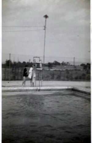 Brunswick Pool Circa 1940s - Early 1950s.jpg