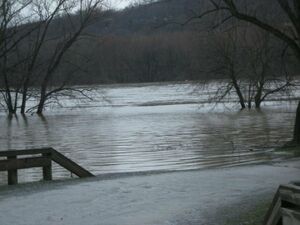Flood of March 2010 down by the Potomac River.jpg