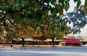 Railroad Square November 2019.JPG