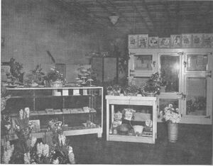 Donald Darr's florist shop on West Potomac Street.jpg