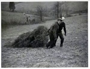 Rotary Club Chrsitmas Drive Circa 1950s.jpg