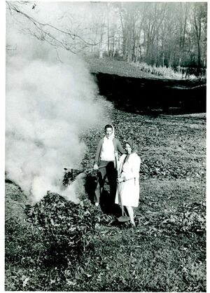 Burning fallen leaves in the Fall.jpg