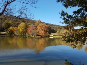 Near Purcellville, VA about 10 miles from Brunswick.jpg