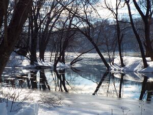Blizzard of 2016 - Potomac River.jpg