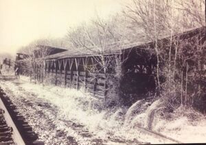Cattle pens next to the tracks.jpg