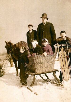 Sledding on the Wenner farm in Brunswick - 1944.jpg