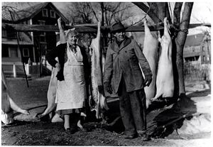 Ida and Lev Brown farm Circa 1953.jpg